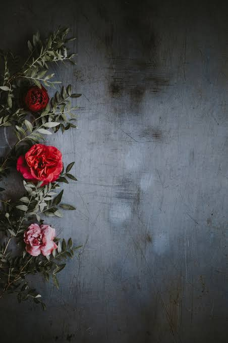 Flowers on Dark Concrete Wall Background